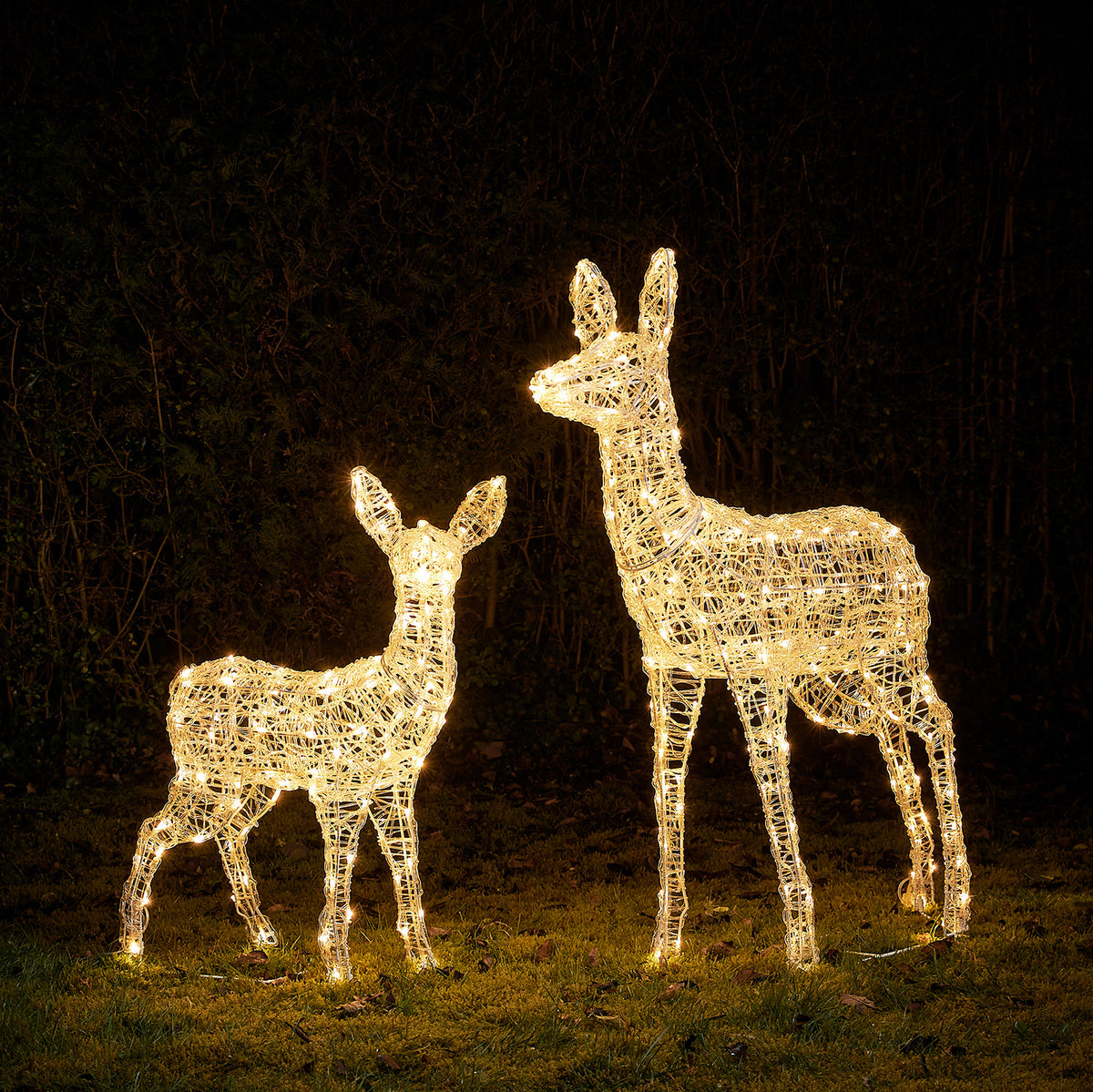 Leuchtendes 2er-Set Solar-LED-Rentiere Hirschkuh und Rehkitz in warmweiß im Garten bei Nacht