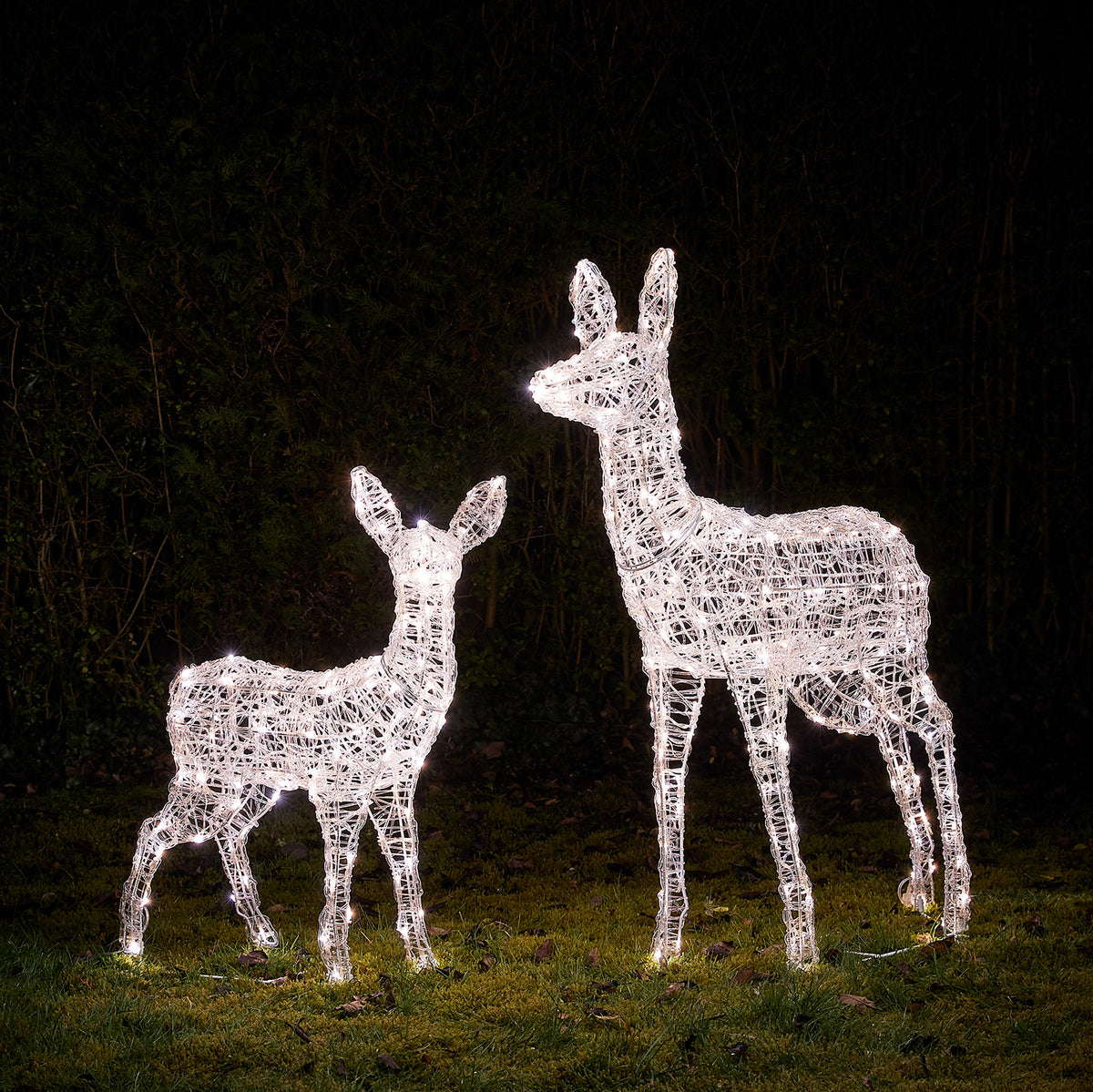 Solar-LED-Rentiere Hirschkuh und Rehkitz in weißem Licht leuchtend auf Rasen vor dunklem Hintergrund