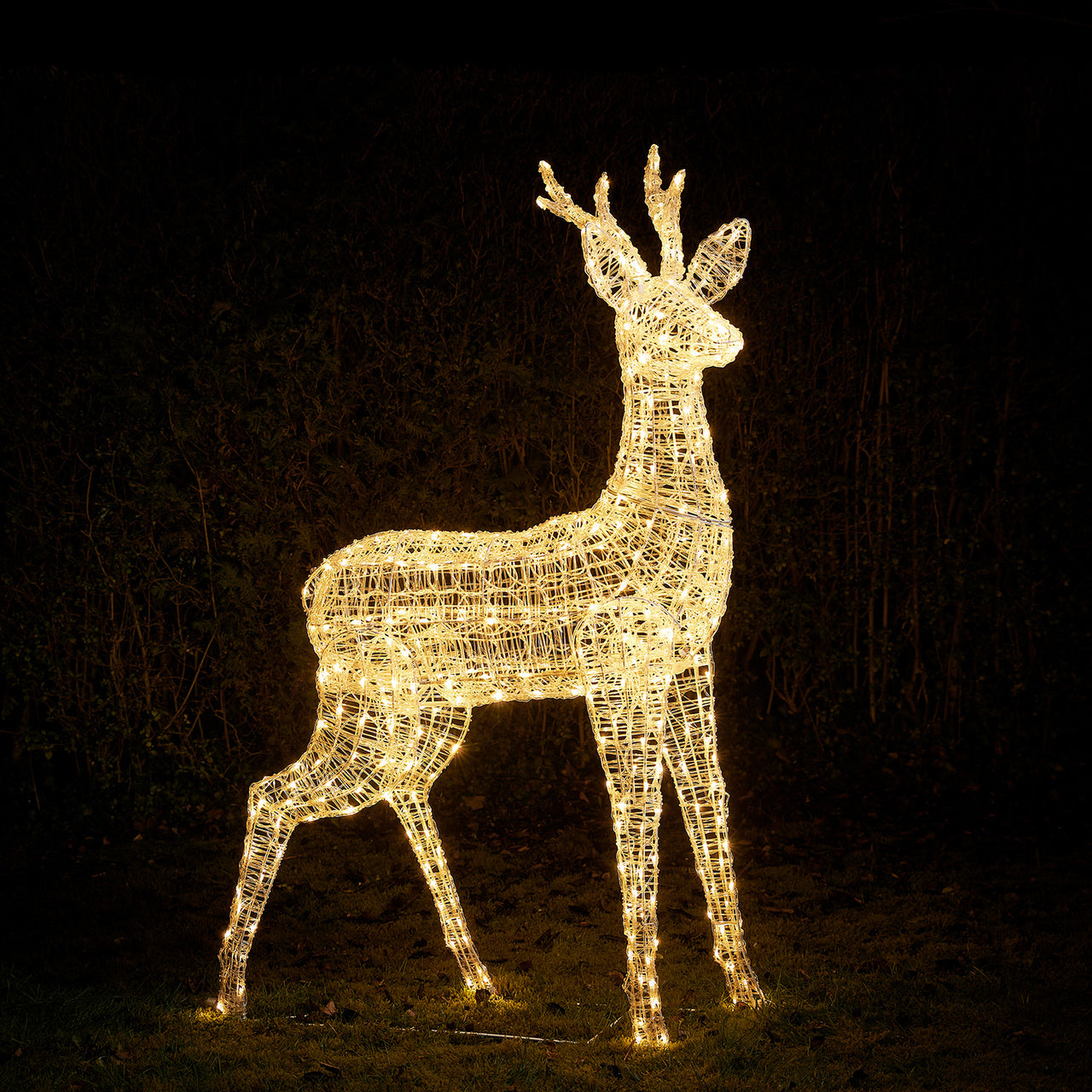 Bicolor LED-Rentier Hirsch XL Swinsty