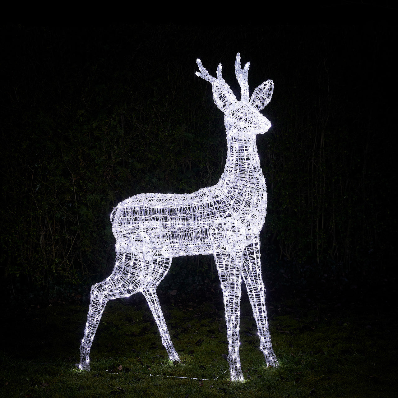 Bicolor LED-Rentier Hirsch XL Swinsty