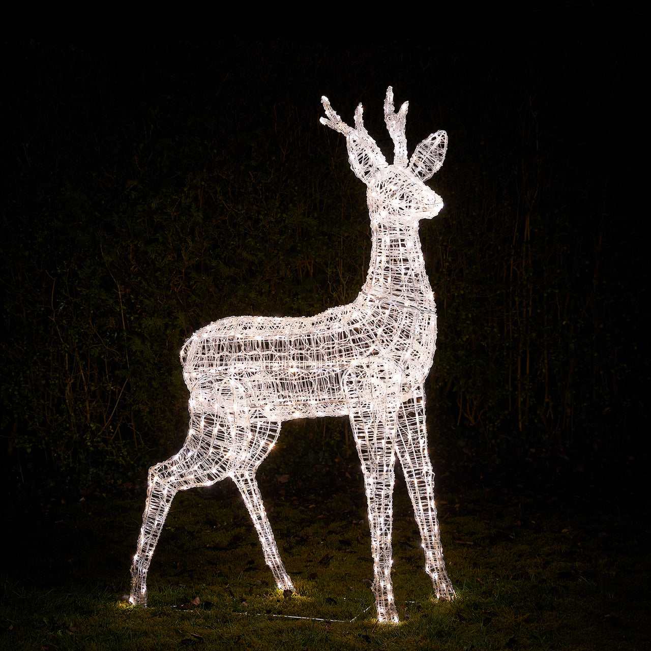 Bicolor LED-Rentier Hirsch XL Swinsty