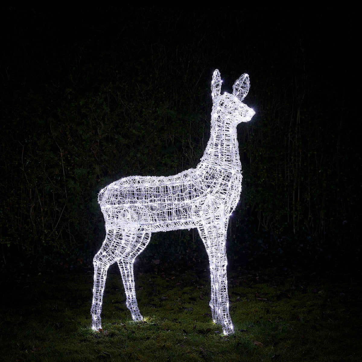 Solar-LED-Rentier Hirschkuh XL strahlt in kaltem Weiß mit 300 LEDs im Garten