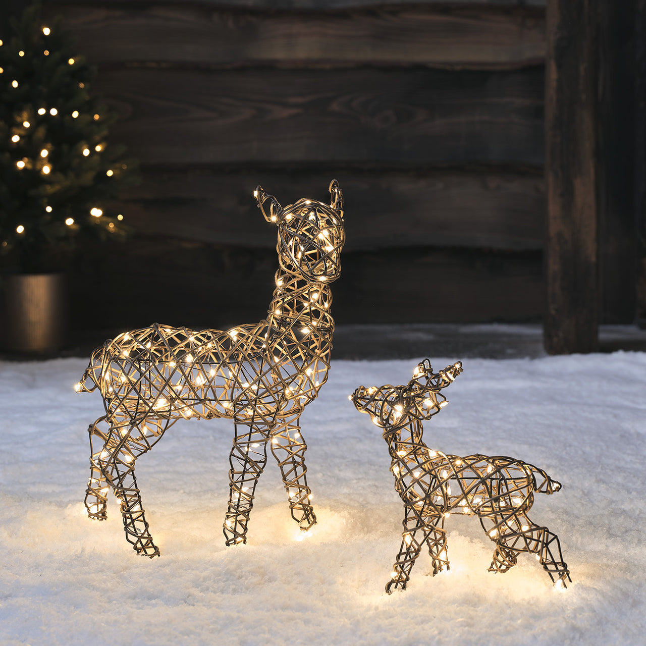 2er Set Mini LED-Rentier Hirschkuh & Rehkitz Studley