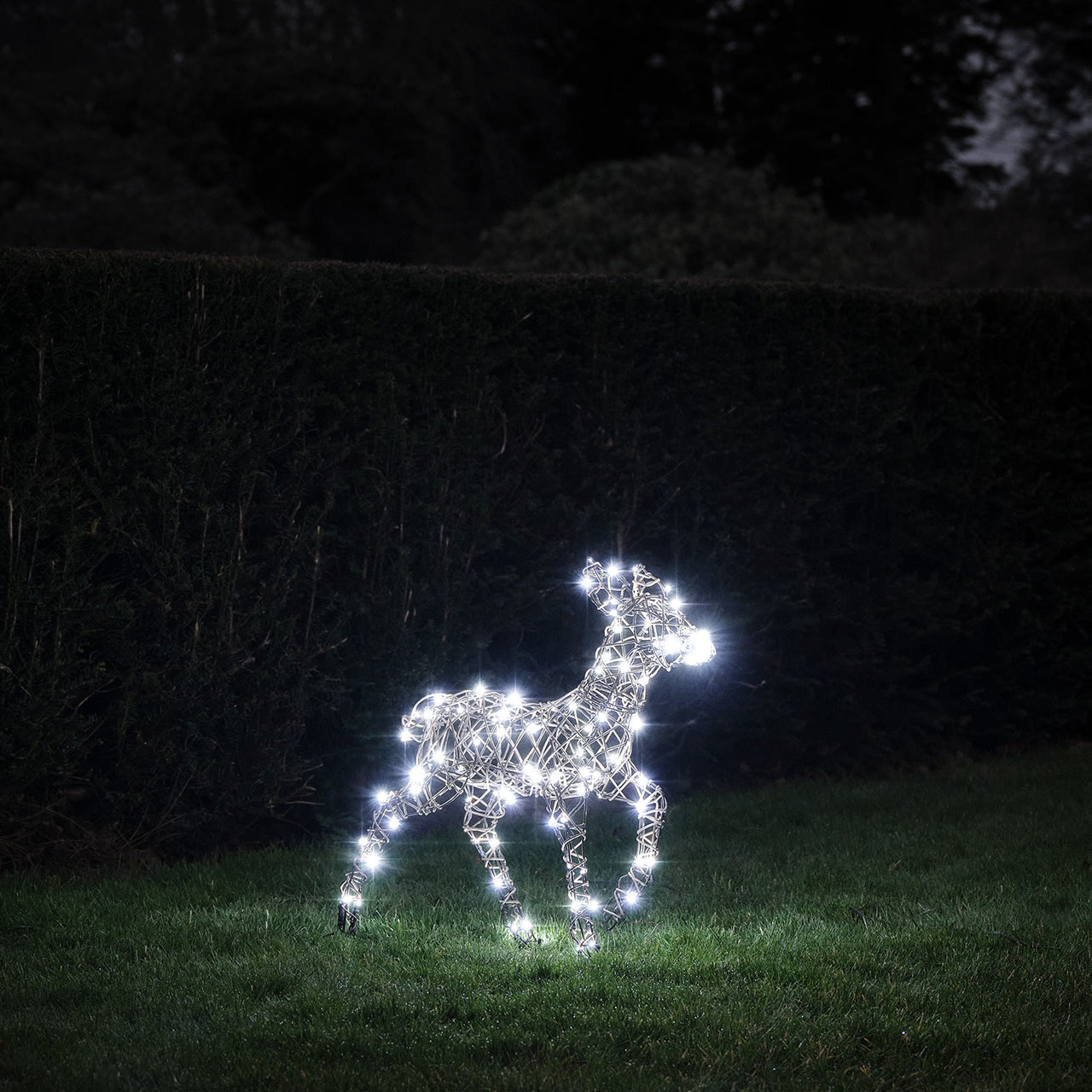 LED-Rentier Rehkitz L Studley