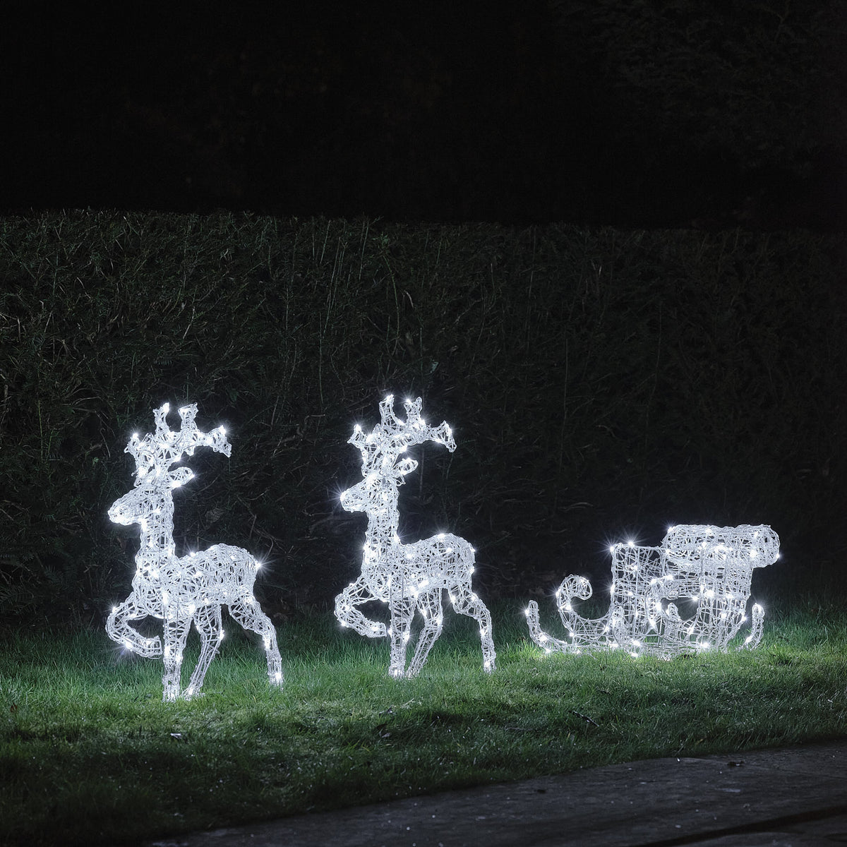 Zwei LED-Rentiere und Schlitten mit kaltem weißem Licht auf Rasen vor dunkler Hecke bei Nacht