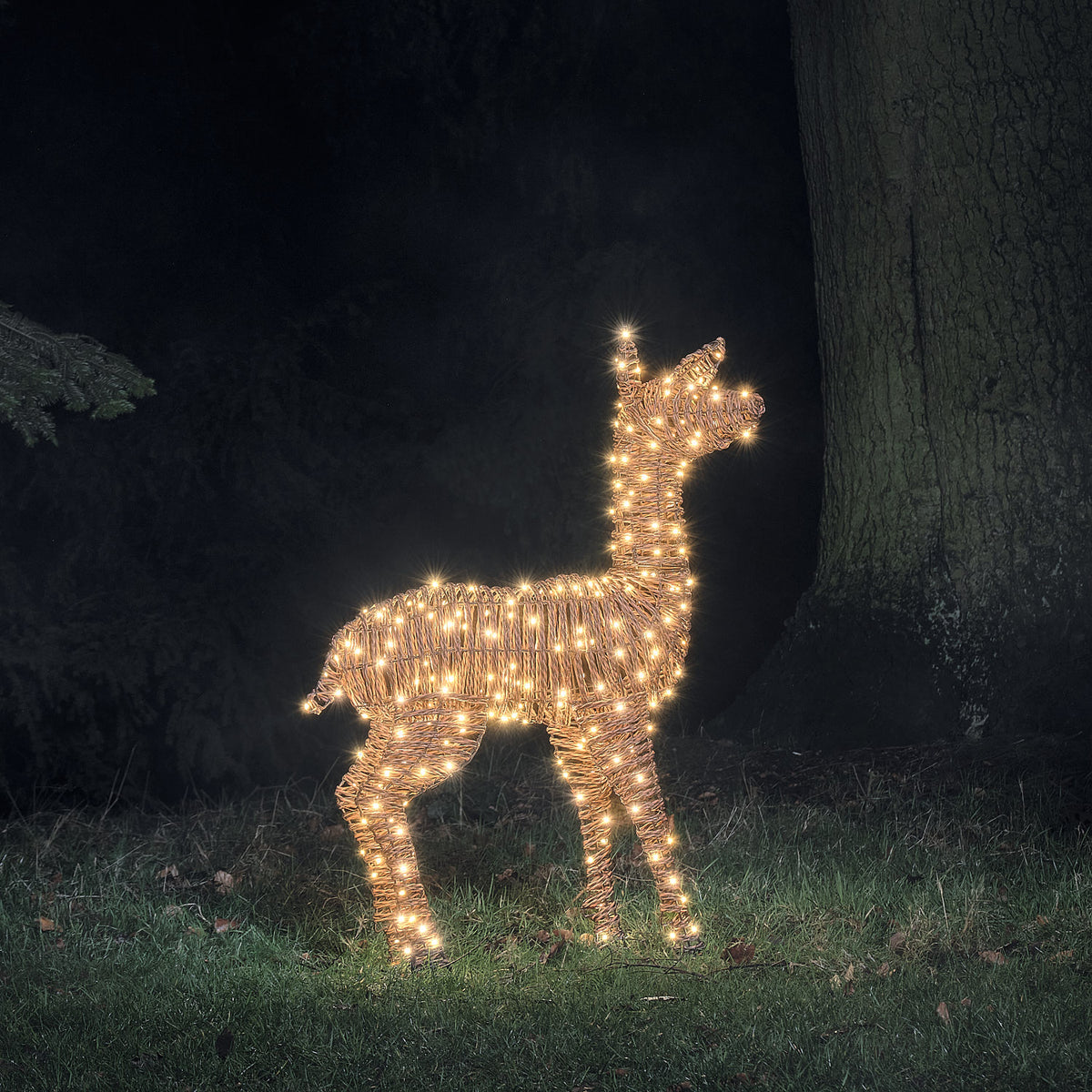 98 cm Pateley Rattan LED-Rentier Hirschkuh mit 260 Mikro-LEDs und Timer in Warmweiß