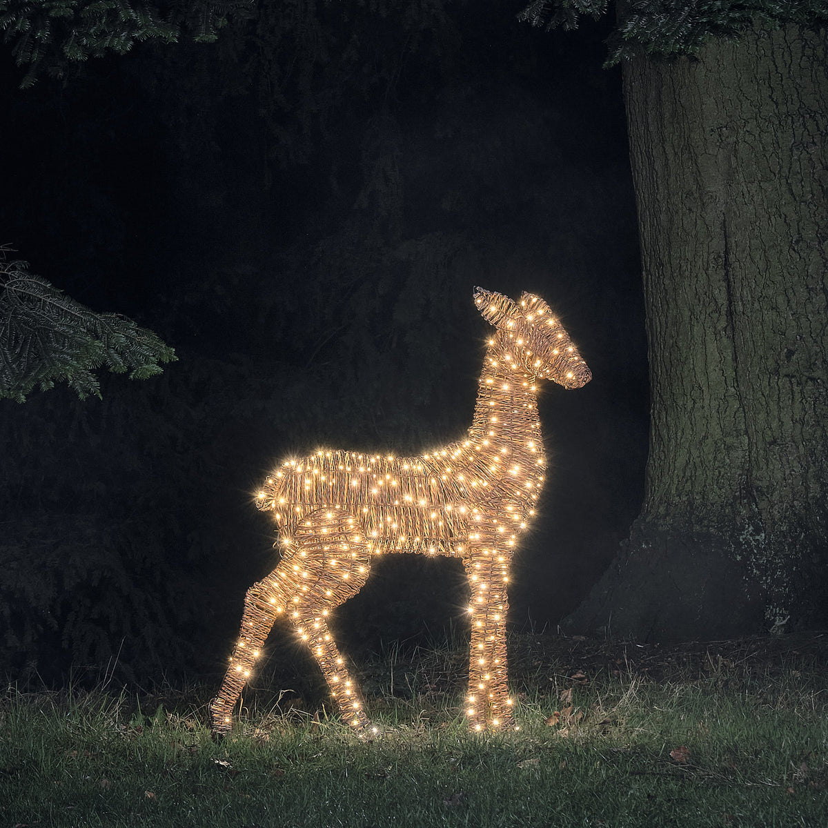 LED-Hirschkuh aus Rattan mit weißen Mikro-LEDs leuchtet im Garten bei Nacht