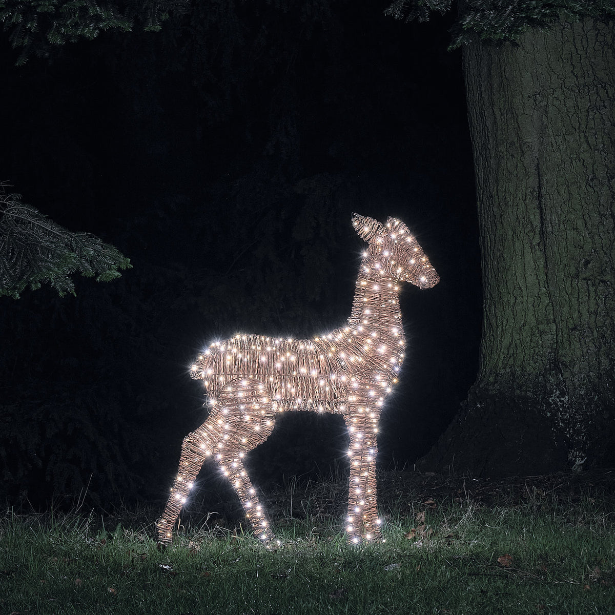 LED-Hirschkuh aus Rattan mit weißen Mikro-LEDs leuchtet im Garten bei Nacht