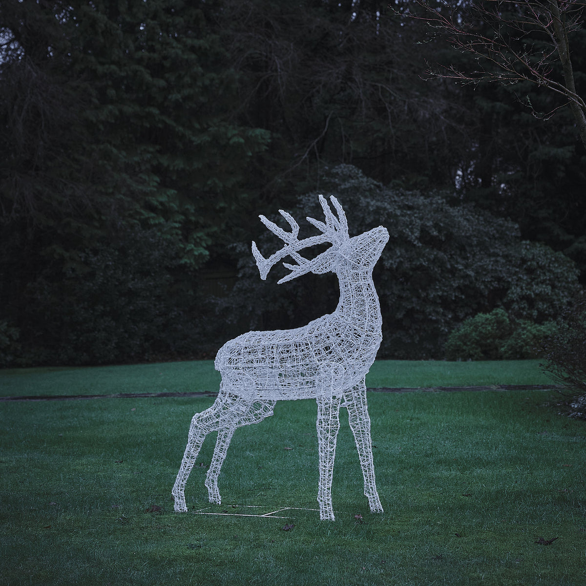 Bicolor LED-Rentier Hirsch XL Swinsty mit 450 LEDs unbeleuchtet