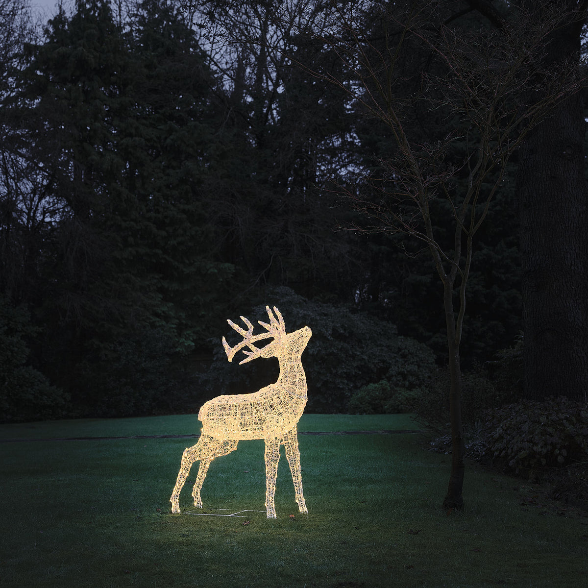 Bicolor LED-Rentier Hirsch XL Swinsty mit 450 LEDs in Warmweiß