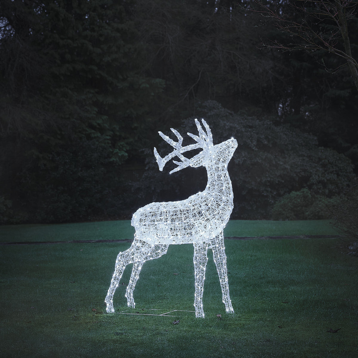 Bicolor LED-Rentier Hirsch XL Swinsty mit 450 LEDs in Kaltweiß