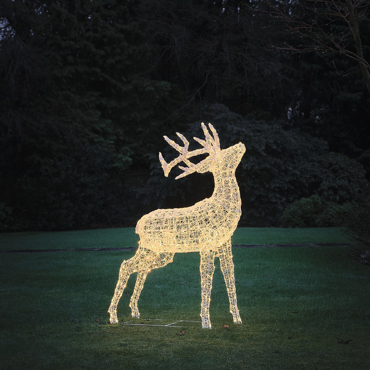 Bicolor Solar-LED-Hirsch aus Acryl in Warmweiß leuchtend auf Rasen vor dunklem Wald