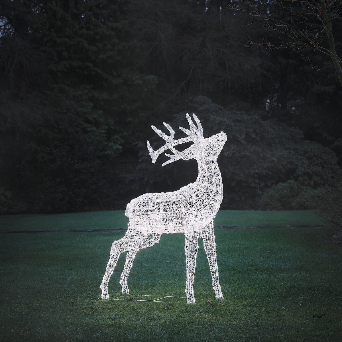 Bicolor Solar-LED-Hirsch aus Acryl in Weiß und Warmweiß leuchtend auf Rasen vor dunklem Wald