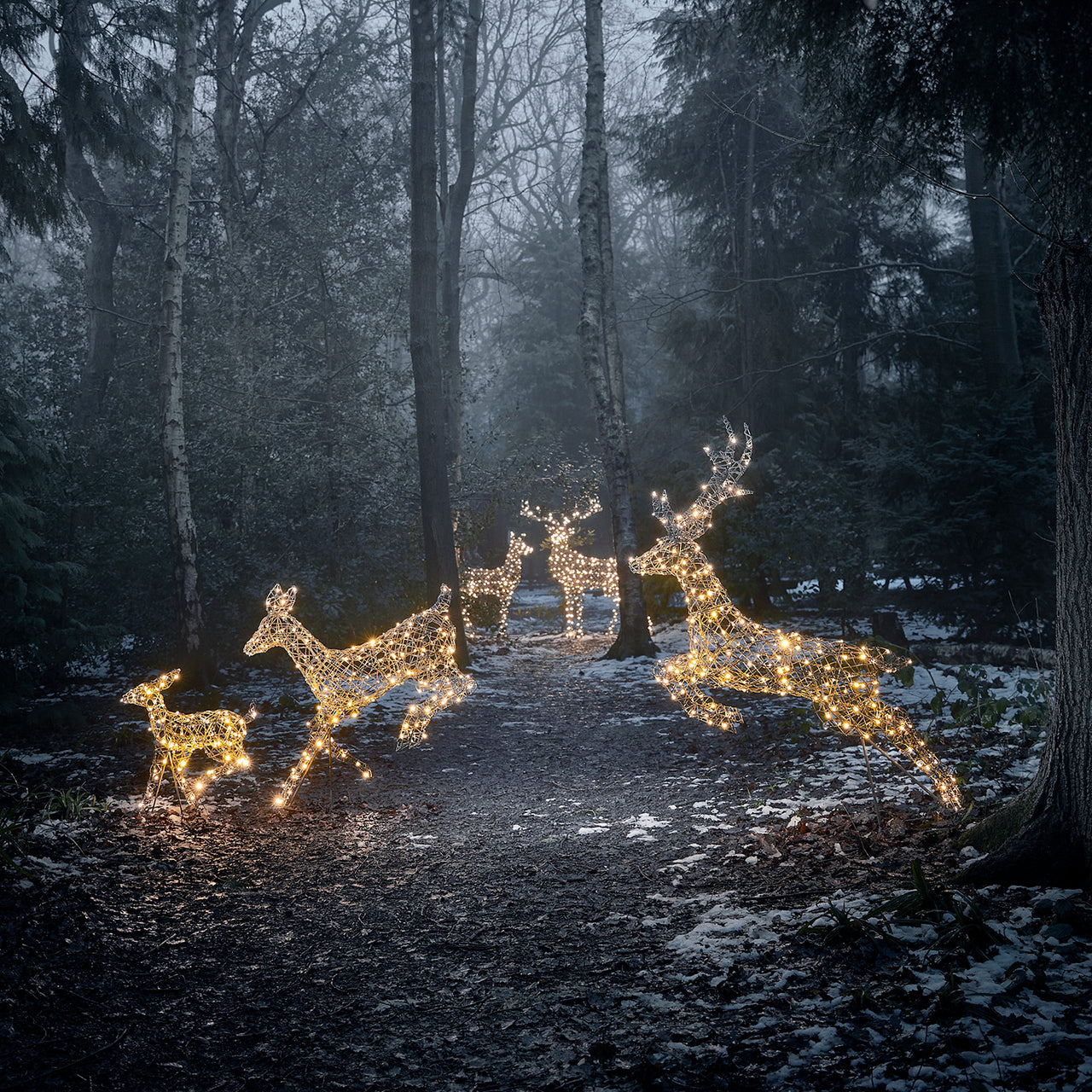 2er Set LED-Rentierfamilie Hirsch & Hirschkuh XL Harlow