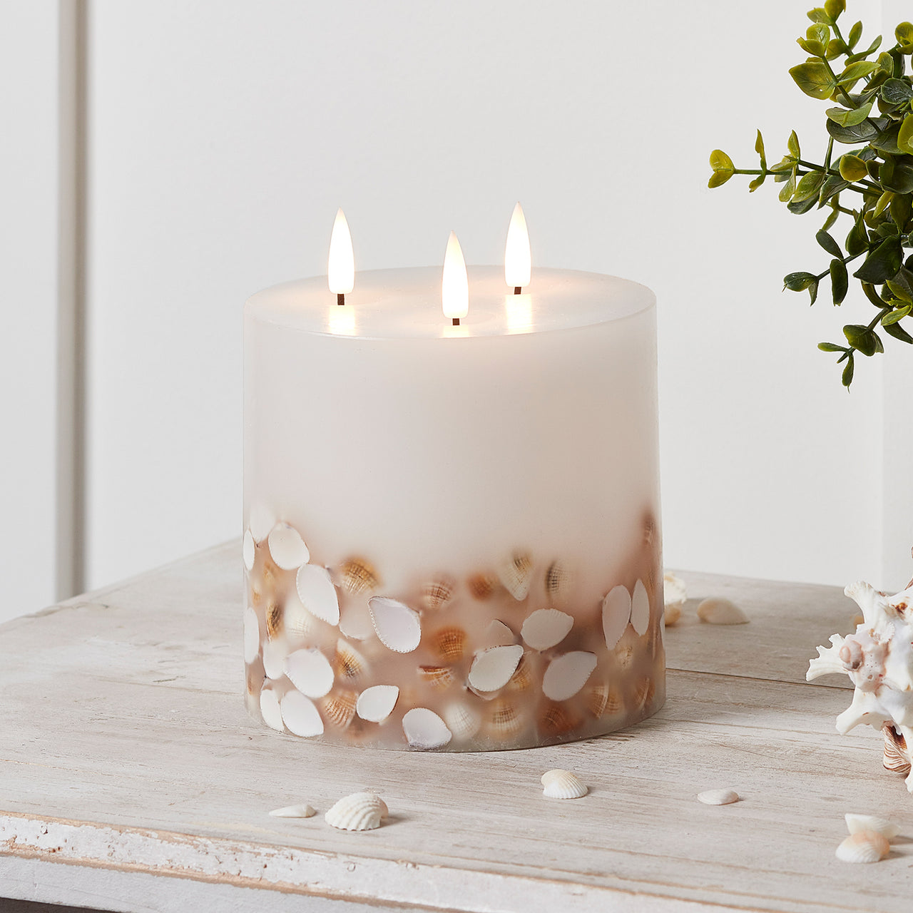 TruGlow® dreidochtige LED Kerze Echtwachs mit Muscheln