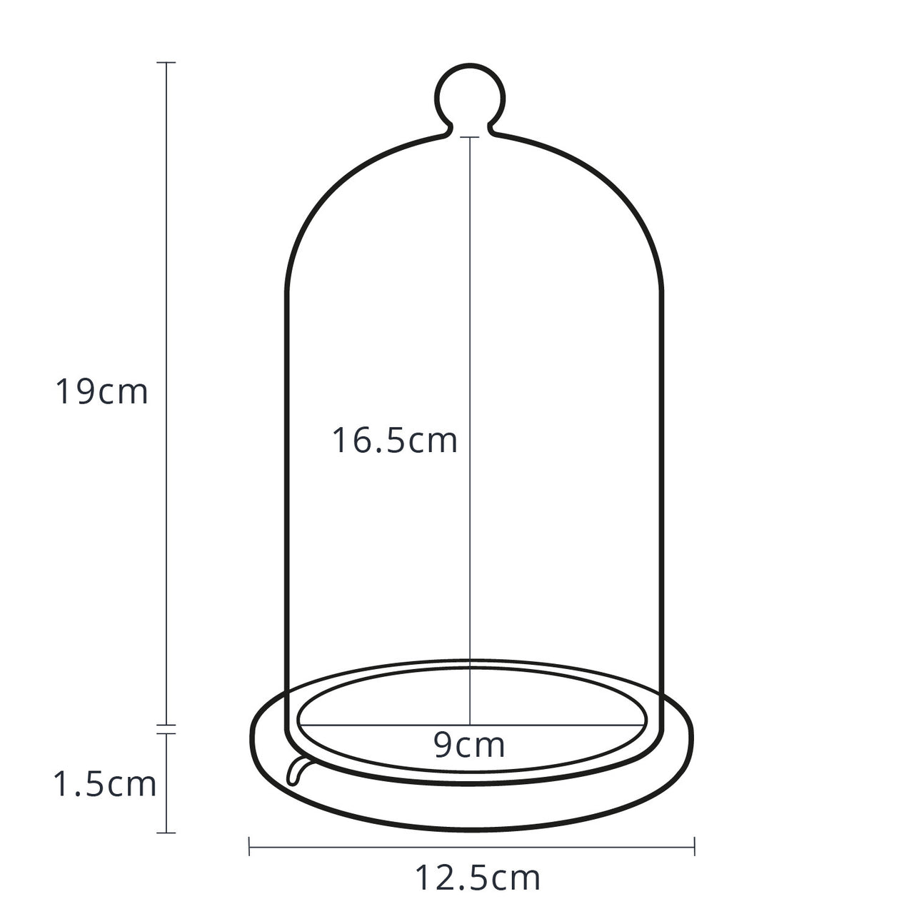 Kleine Glasglocke mit 20er LED Micro Kupfer Lichterkette