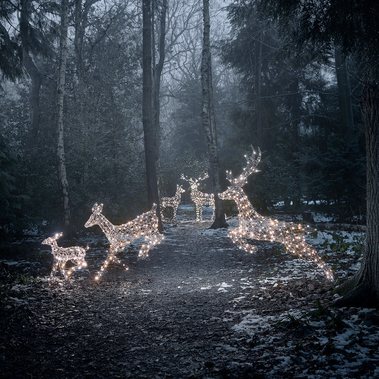 5er Set LED-Rentierfamilie XL Harlow