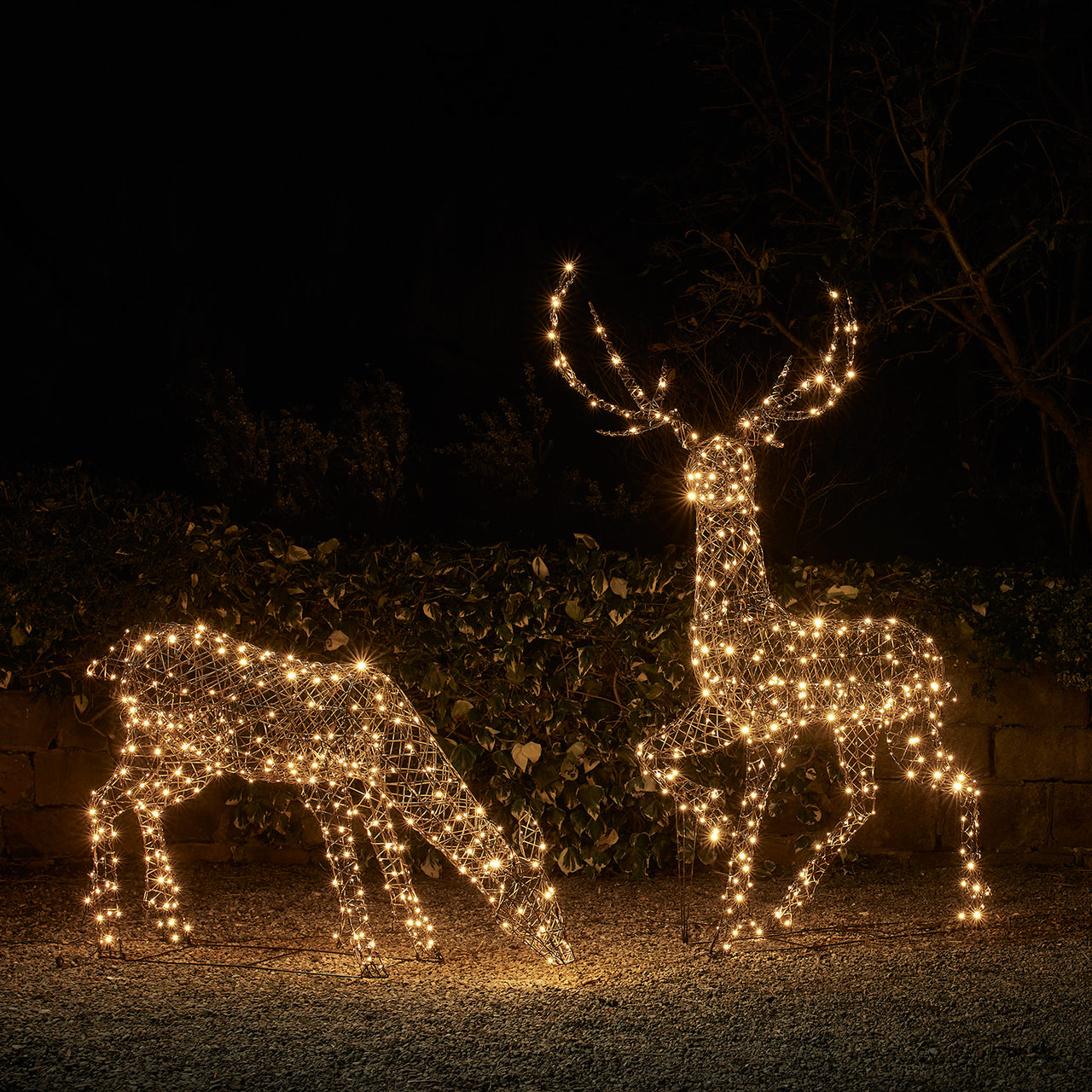2er Set LED-Rentierfamilie Hirsch & Hirschkuh XL Studley