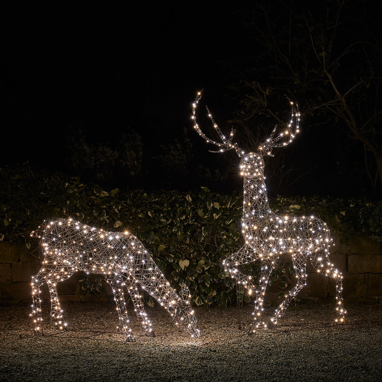 2er Set LED-Rentierfamilie Hirsch & Hirschkuh XL Studley