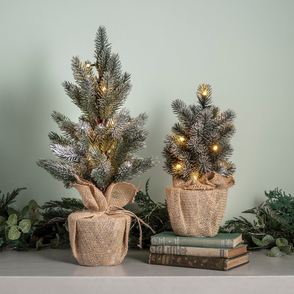Zwei kleine Weihnachtsbäume mit LEDs.