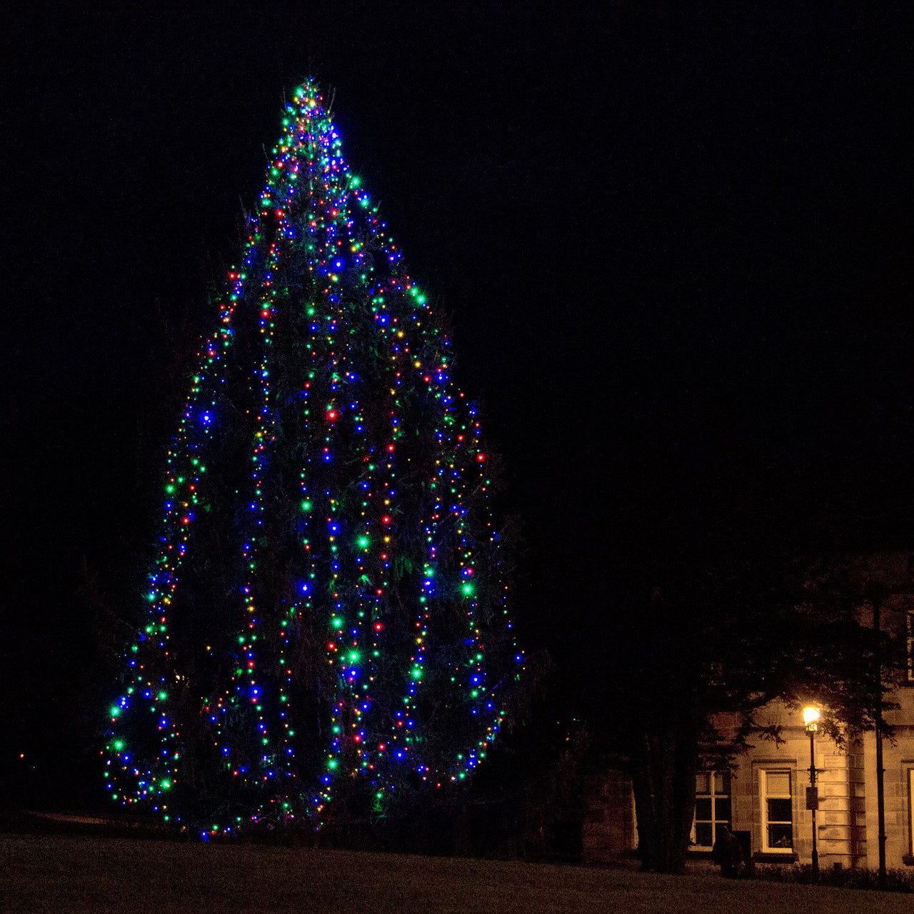Core Connect 50m 500er LED Lichterkette bunt koppelbar grünes Kabel