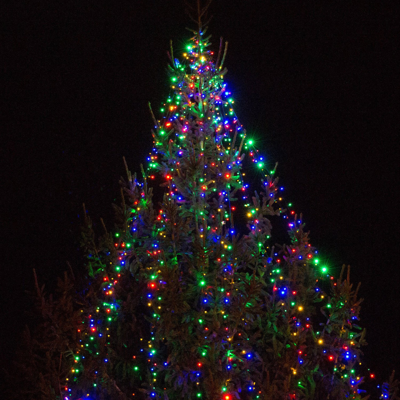 Core Connect 50m 500er LED Lichterkette bunt koppelbar grünes Kabel
