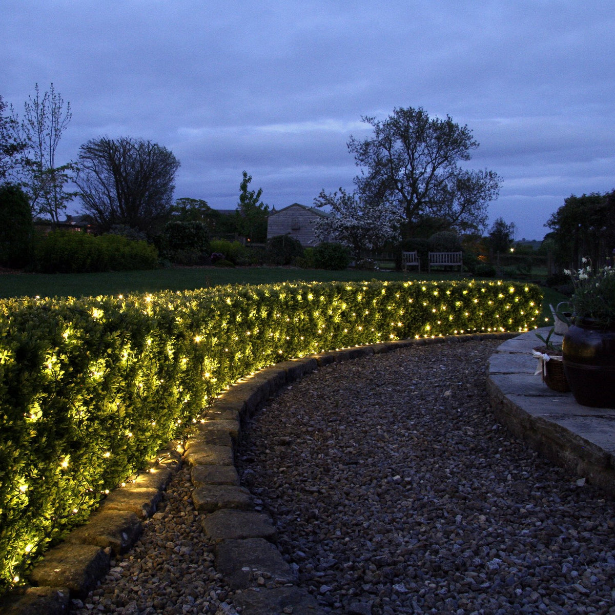 Lichternetz mit warmweißen LEDs dekoriert lange Hecke im Garten bei Abenddämmerung